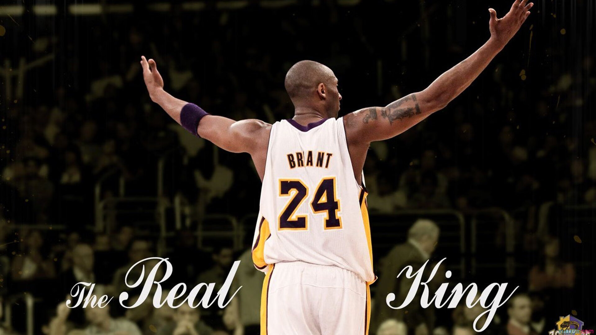 VR游戏新体验：沉浸式与互动性，vr沉浸式体验是什么意思